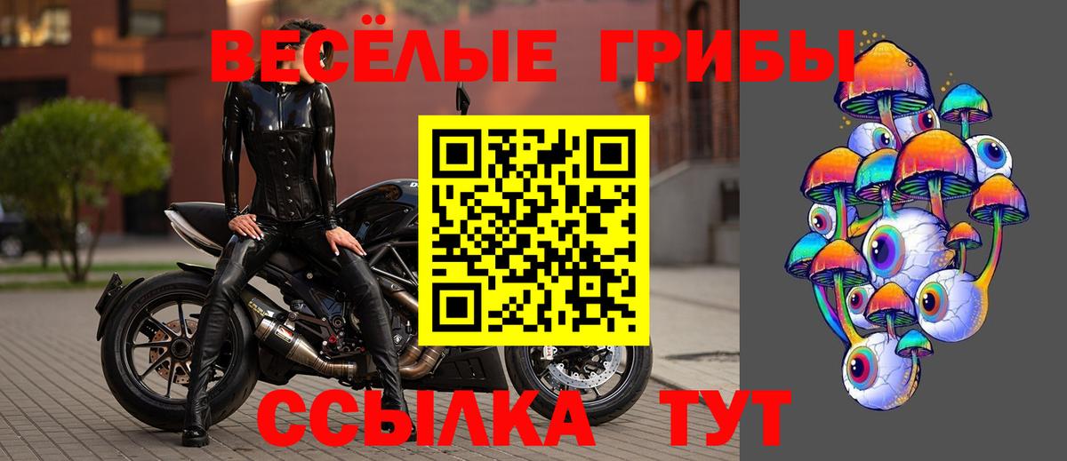 Кумертау  Псилоцибиновые грибы Psilocybe  Вход с VPN  где можно купить наркотик  Псилоцибиновые грибы прущие грибы 